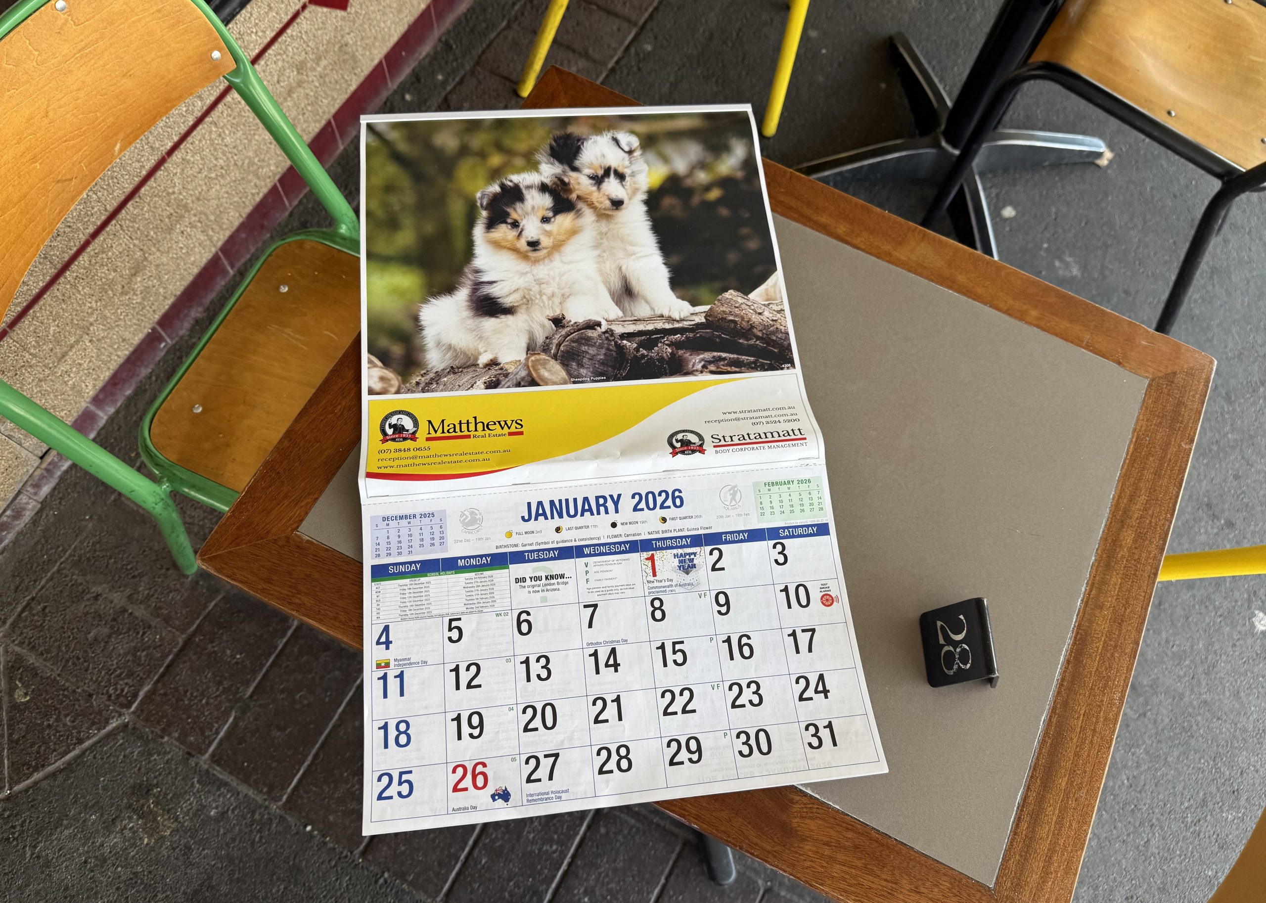 calendar with cute puppies.
